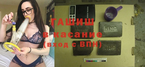 ПСИЛОЦИБИНОВЫЕ ГРИБЫ Новозыбков