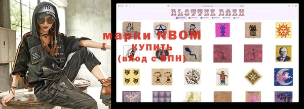 ПСИЛОЦИБИНОВЫЕ ГРИБЫ Новозыбков