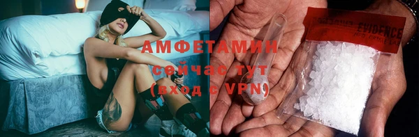 ПСИЛОЦИБИНОВЫЕ ГРИБЫ Новозыбков