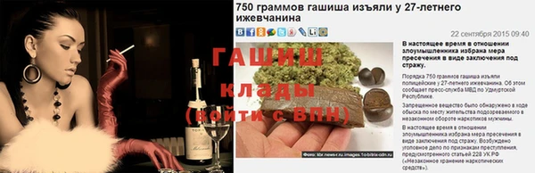 ПСИЛОЦИБИНОВЫЕ ГРИБЫ Новозыбков