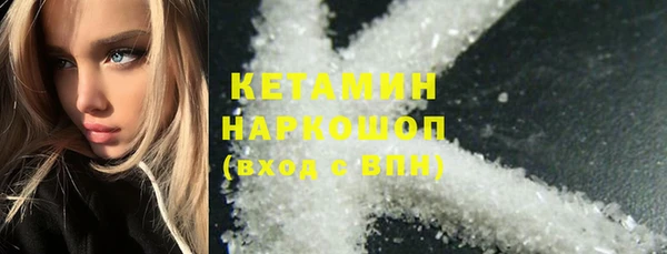 ПСИЛОЦИБИНОВЫЕ ГРИБЫ Новозыбков