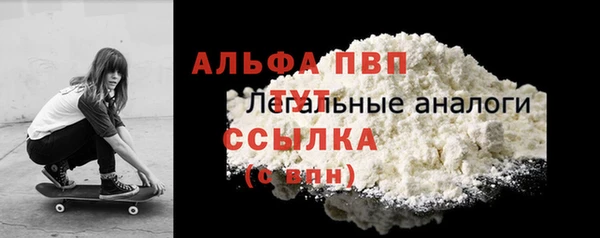 ПСИЛОЦИБИНОВЫЕ ГРИБЫ Новозыбков