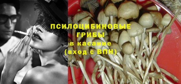 молекула духа Новодвинск
