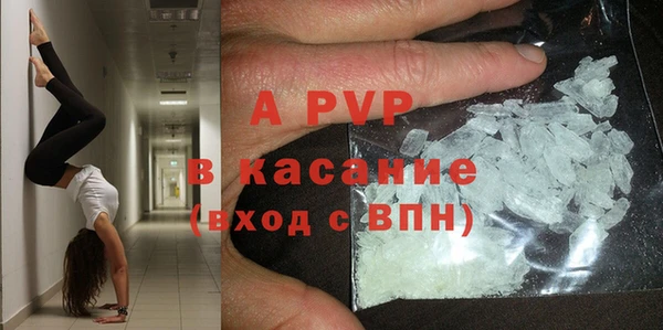 молекула духа Новодвинск
