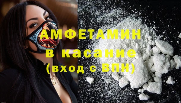 ПСИЛОЦИБИНОВЫЕ ГРИБЫ Новозыбков