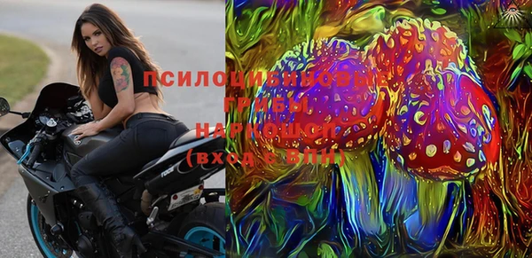 молекула духа Новодвинск