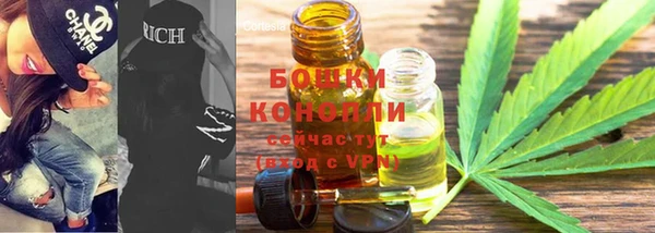 ПСИЛОЦИБИНОВЫЕ ГРИБЫ Новозыбков