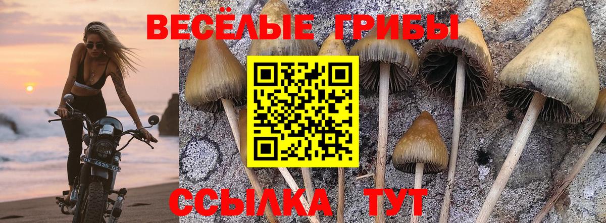 Псилоцибиновые грибы мицелий  даркнет сайт  Смоленск  Вход с VPN 
